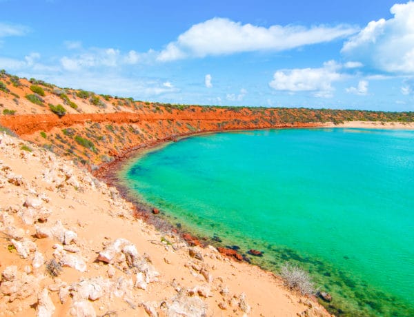 françois péron national park australie