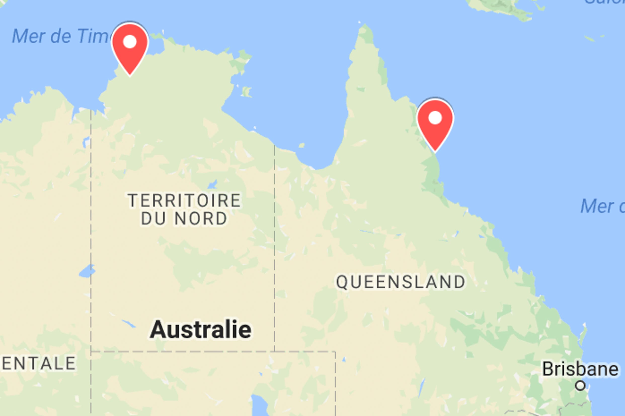 animaux d'australie chauve souris
