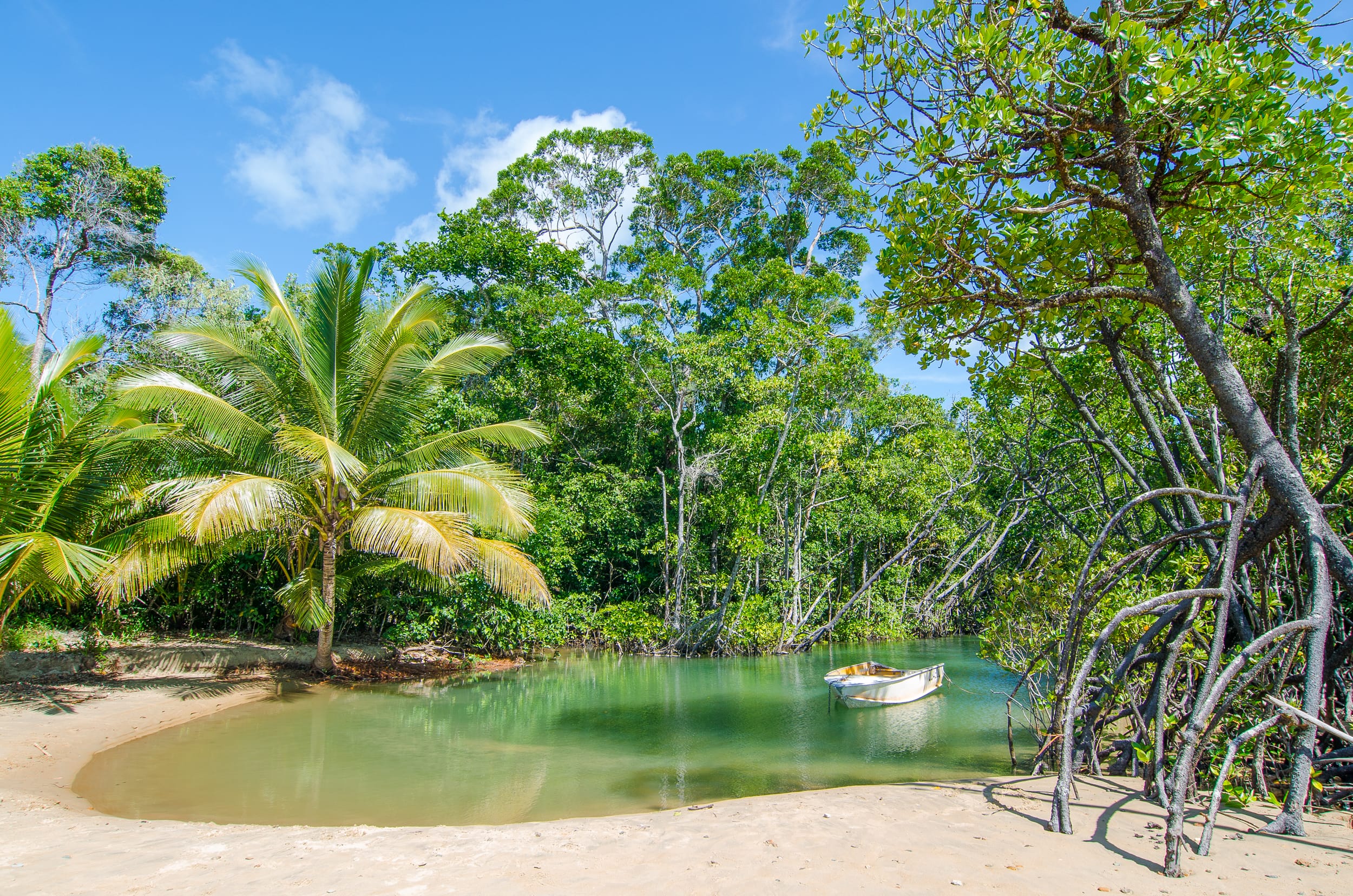 daintree rainforest cow bay beach
