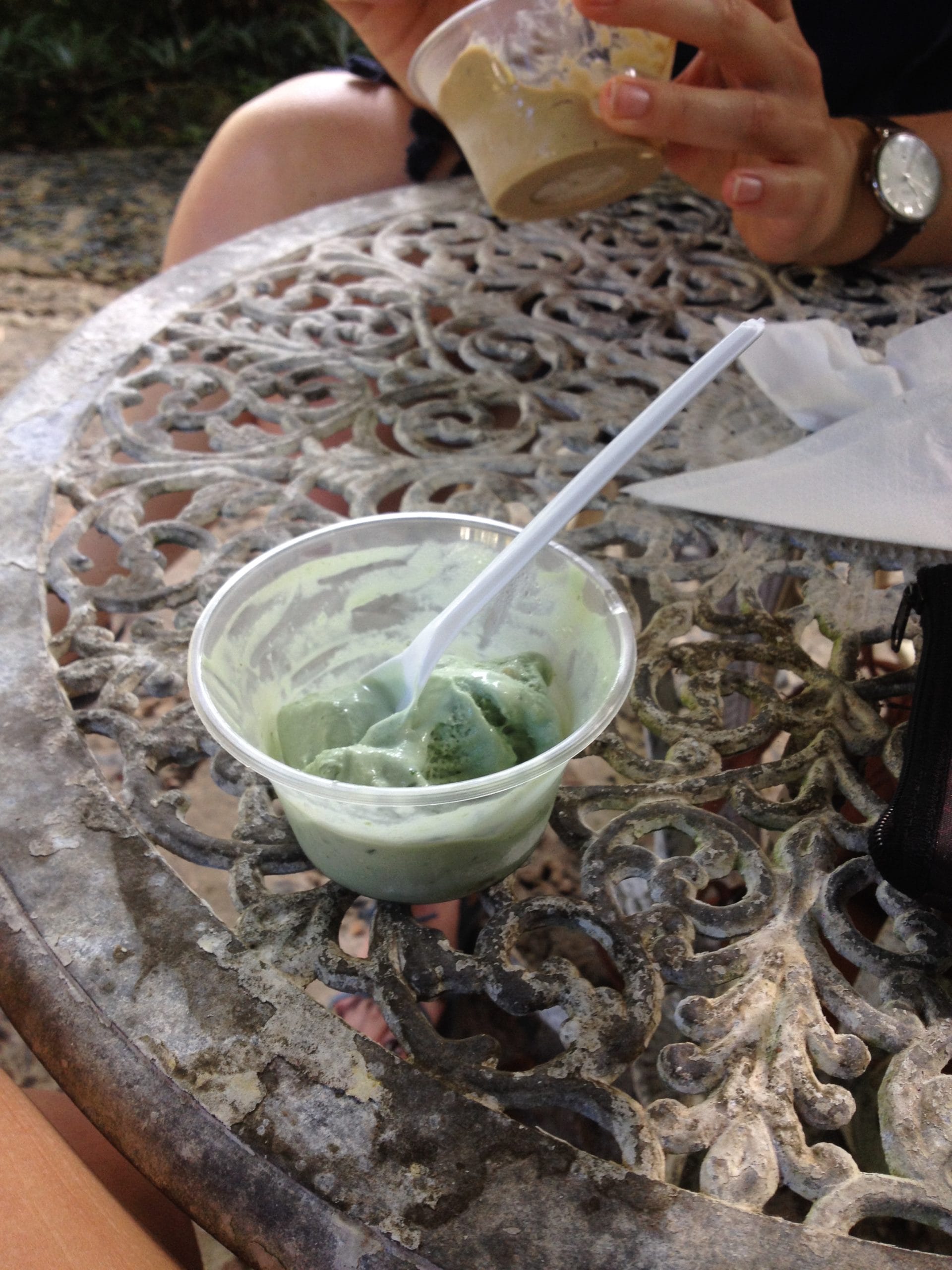floravilla ice cream daintree rainforest