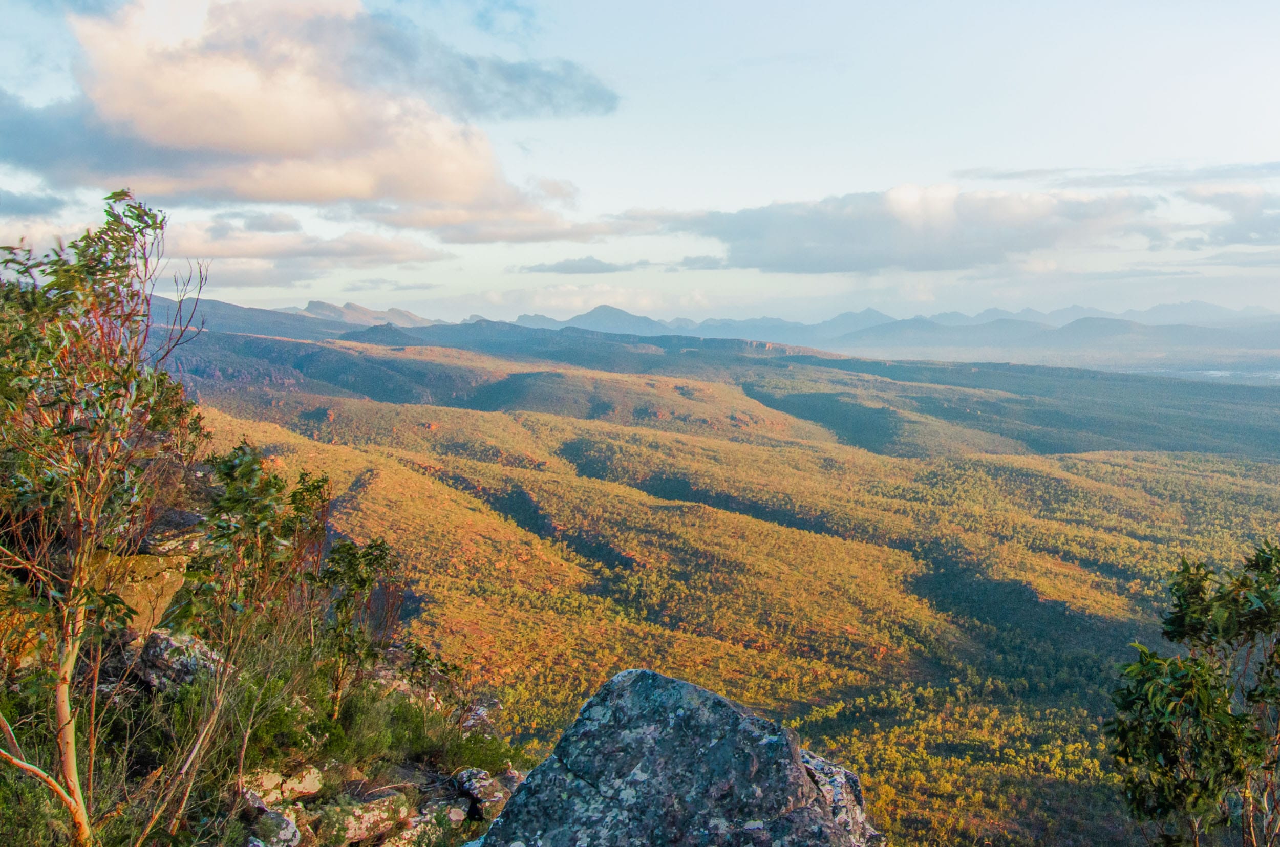 reed lookout grampians national park