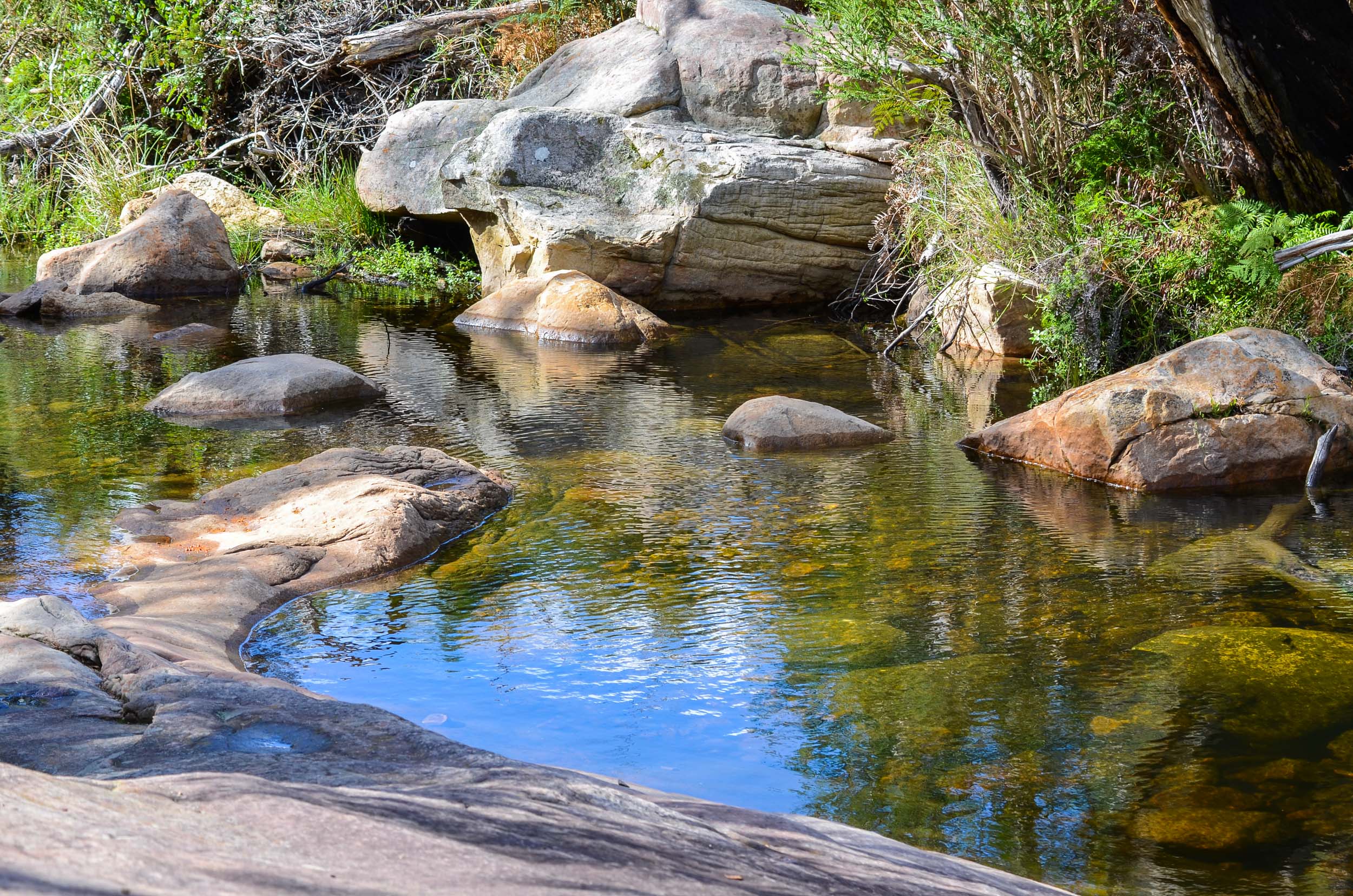 venus baths grampians national park
