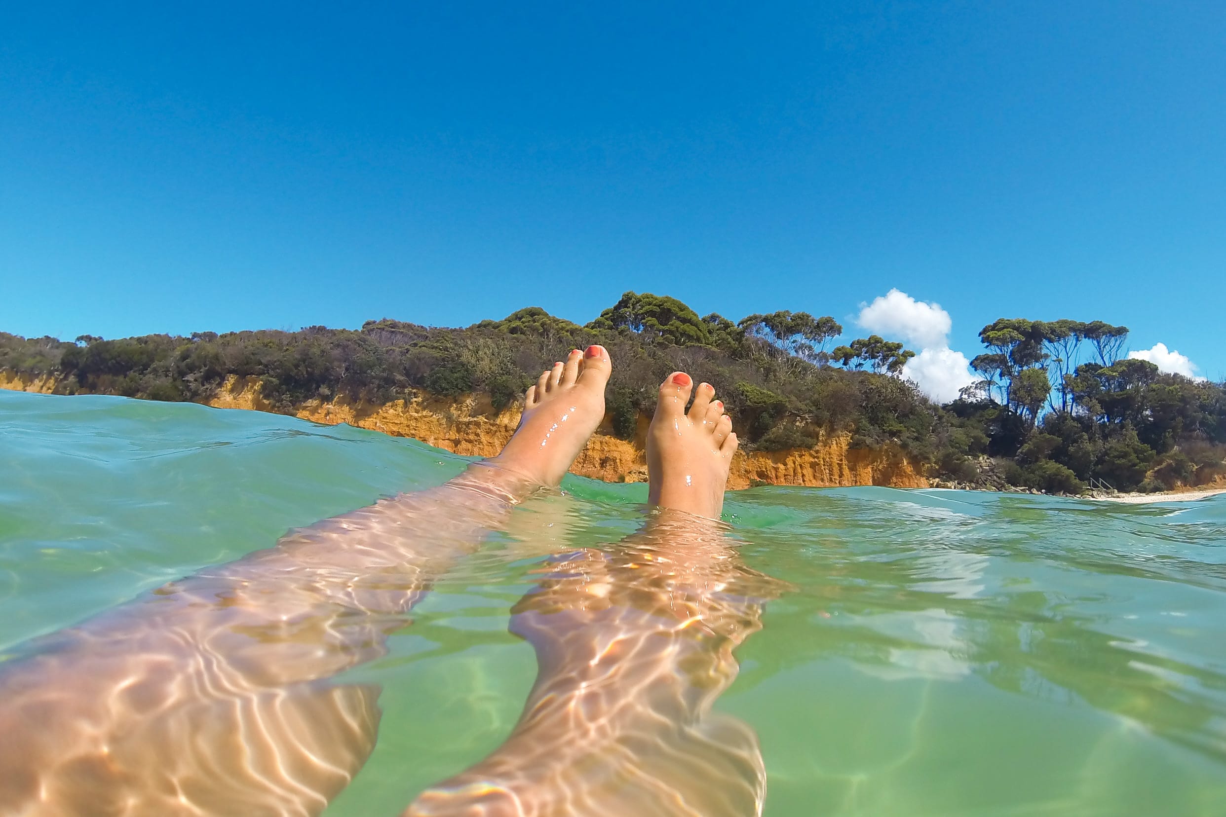 jervis bay road trip sydney-melbourne