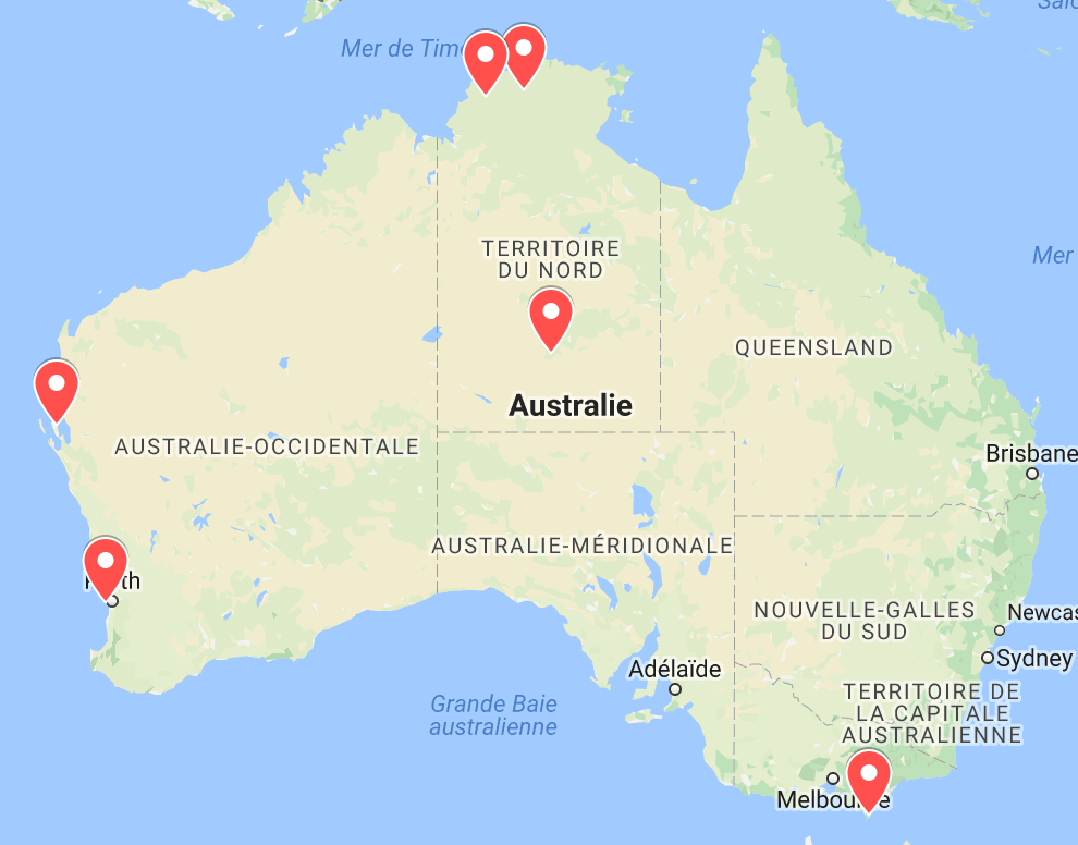 animaux d'australie où voir lézards