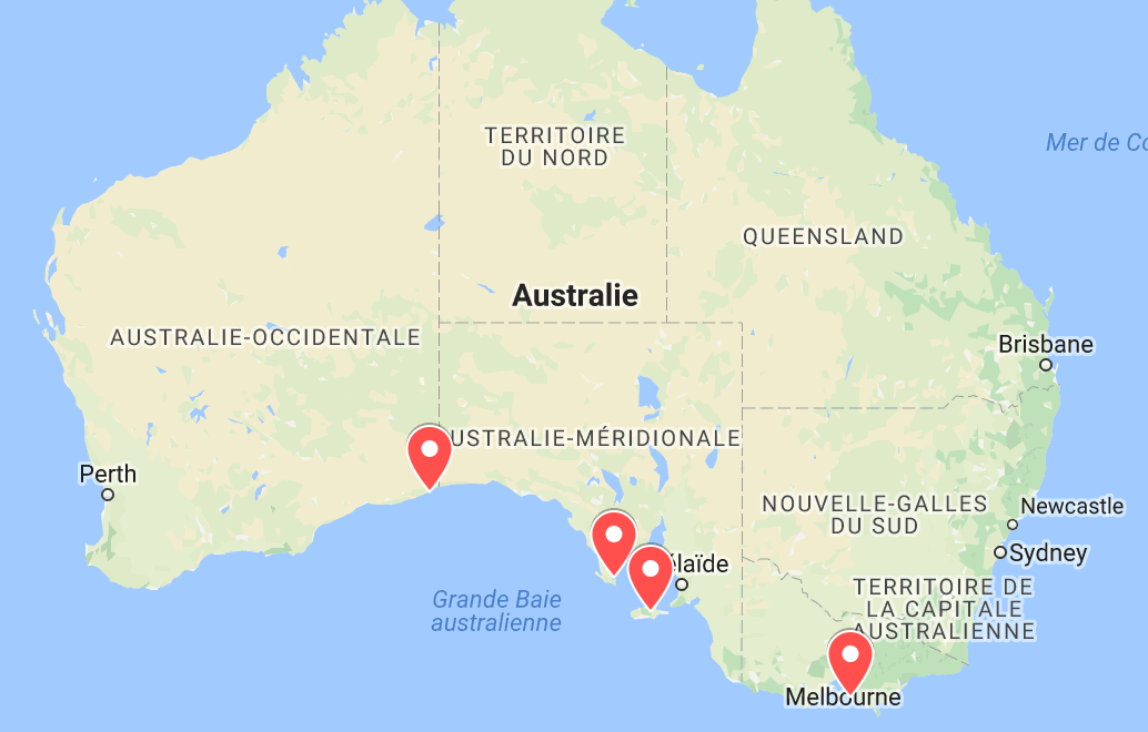 animaux d'australie où voir des lions de mer