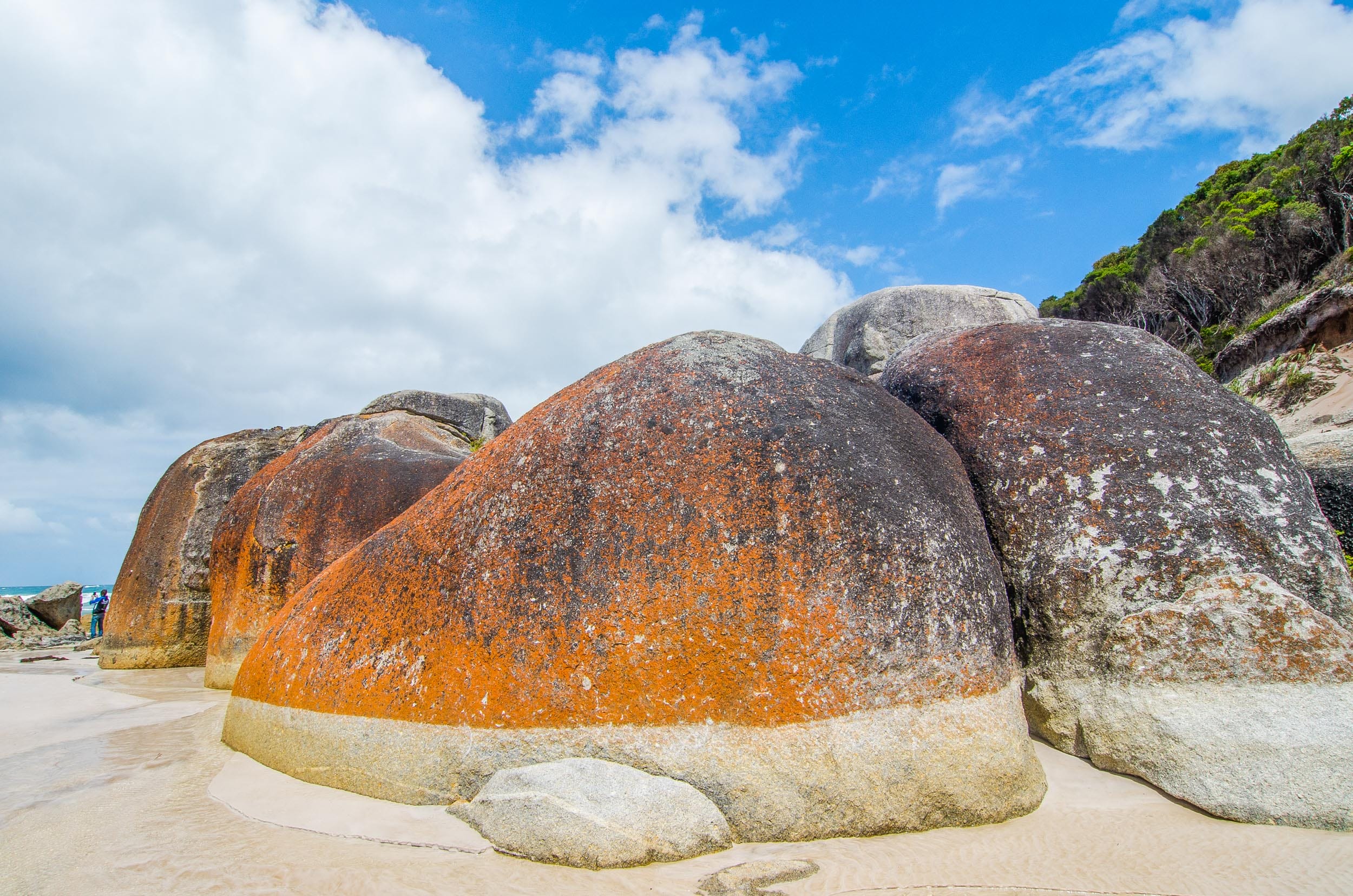 squeaky beach wilsons promontory