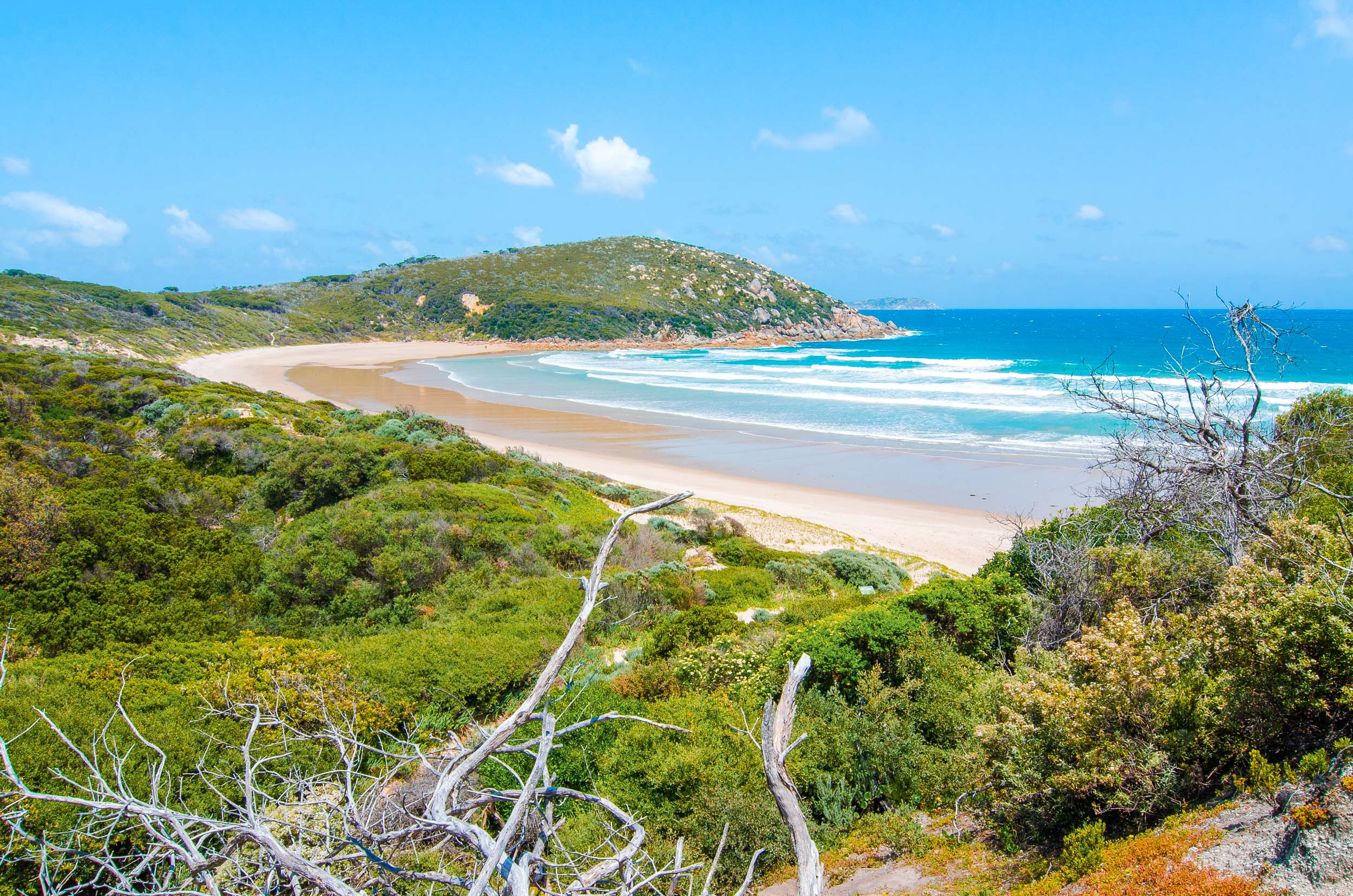 picnic bay wilsons promontory