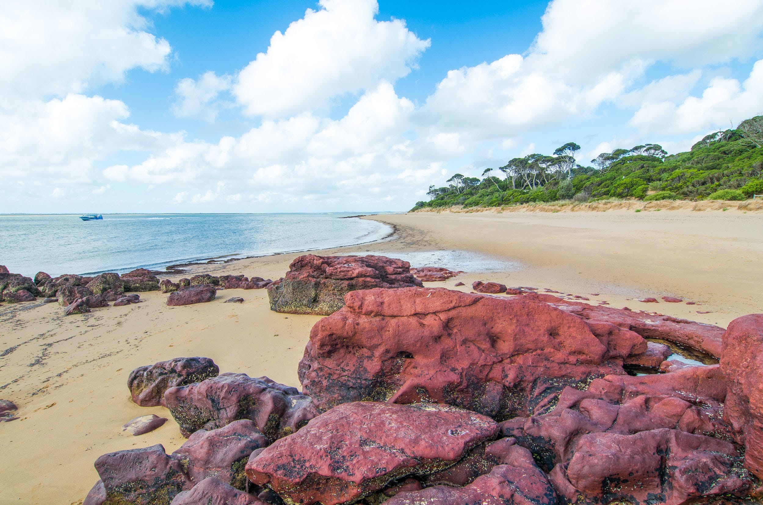 red rocks beach phillip island