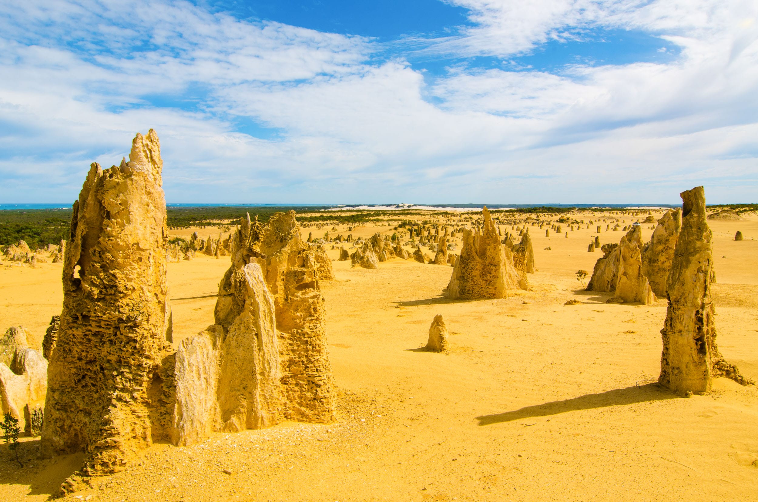 pinnacles road trip côte ouest australie