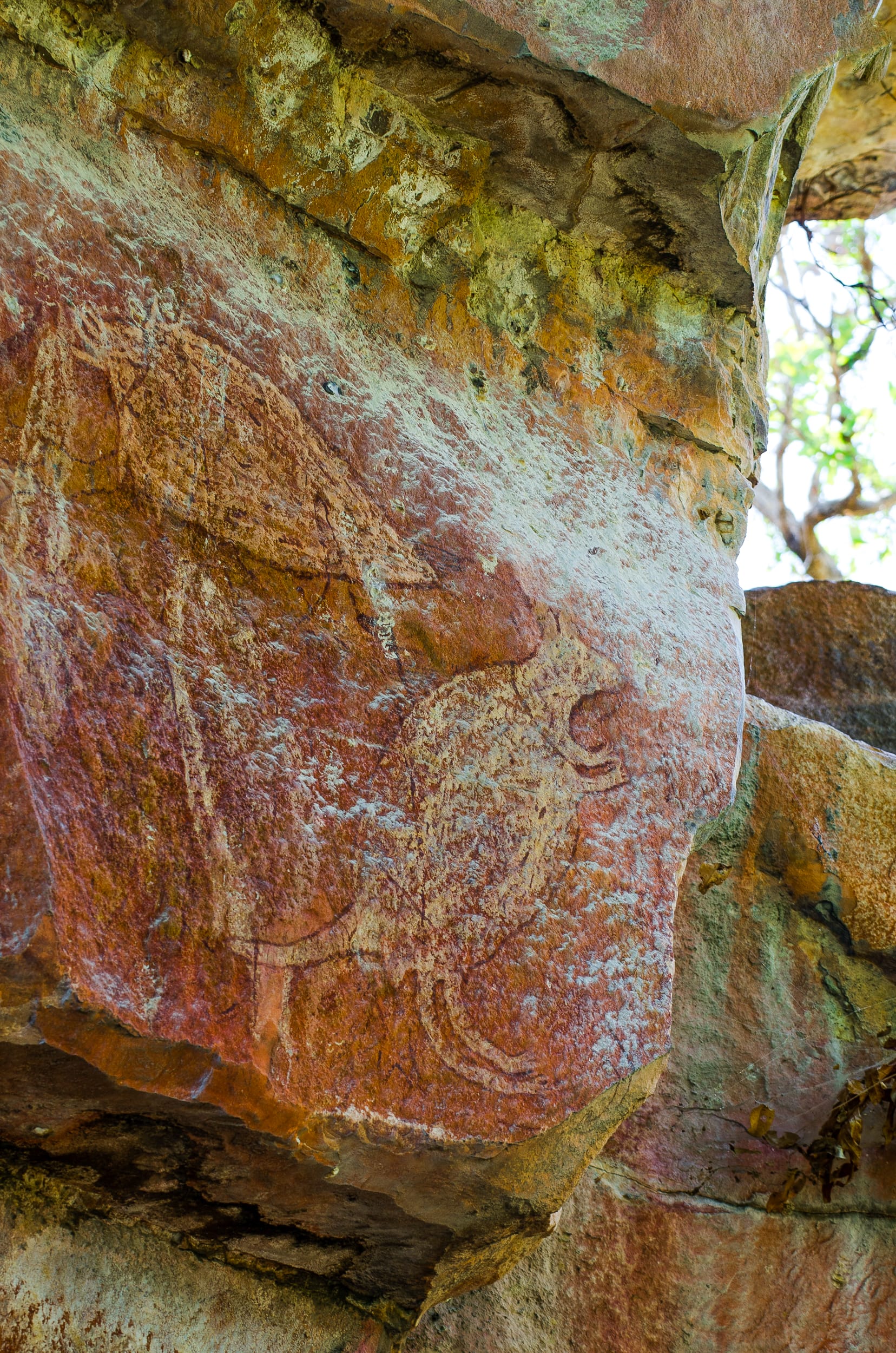 ubirr kakadu peintures aborigènes