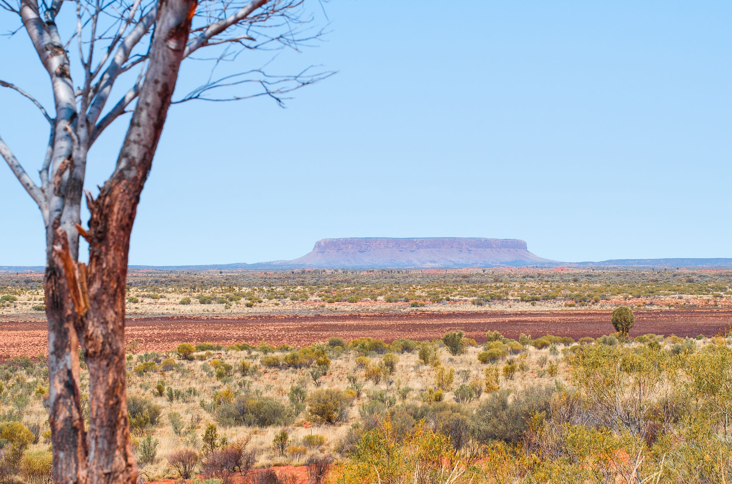 mount connor
