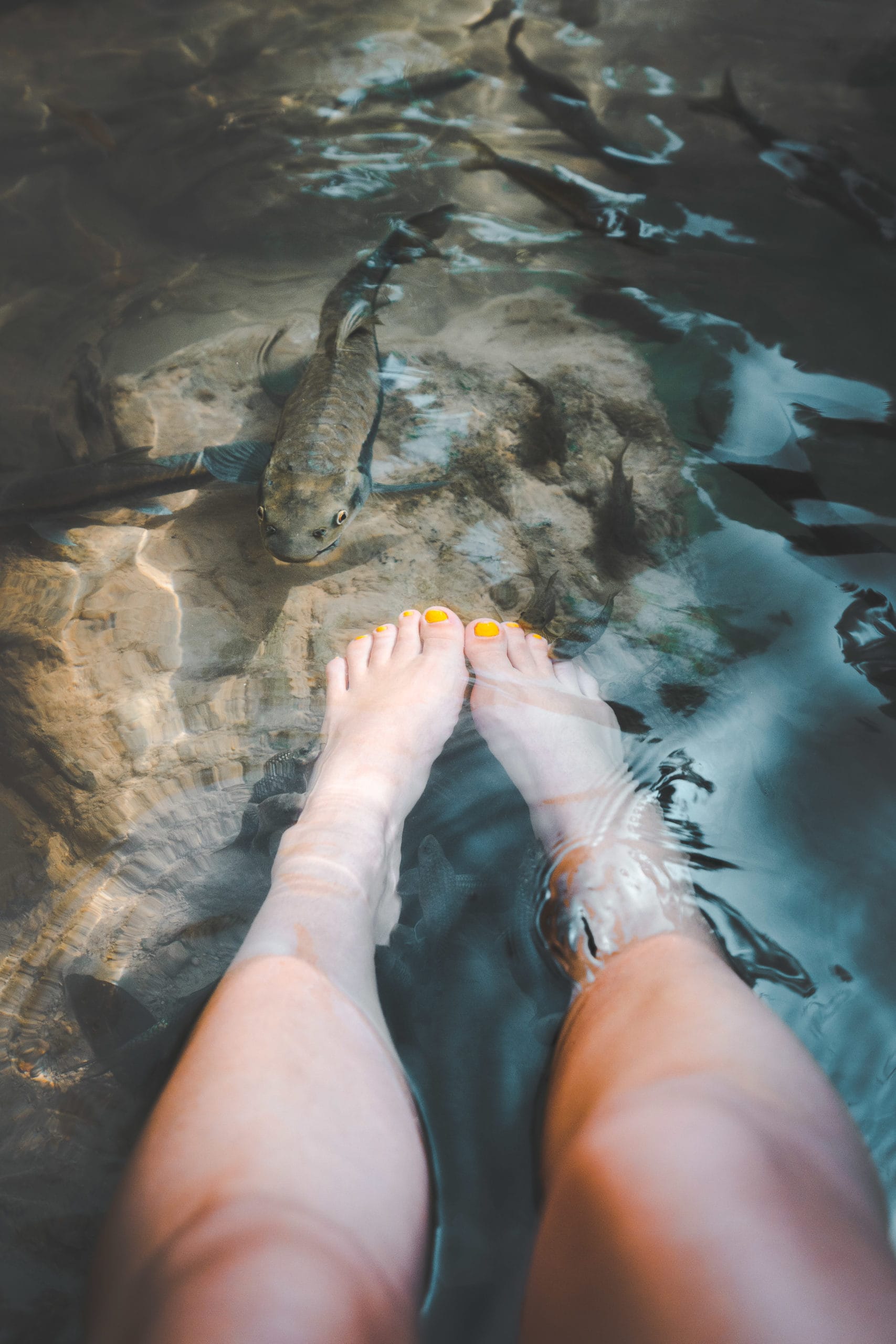 erawan falls kanchanaburi fish spa