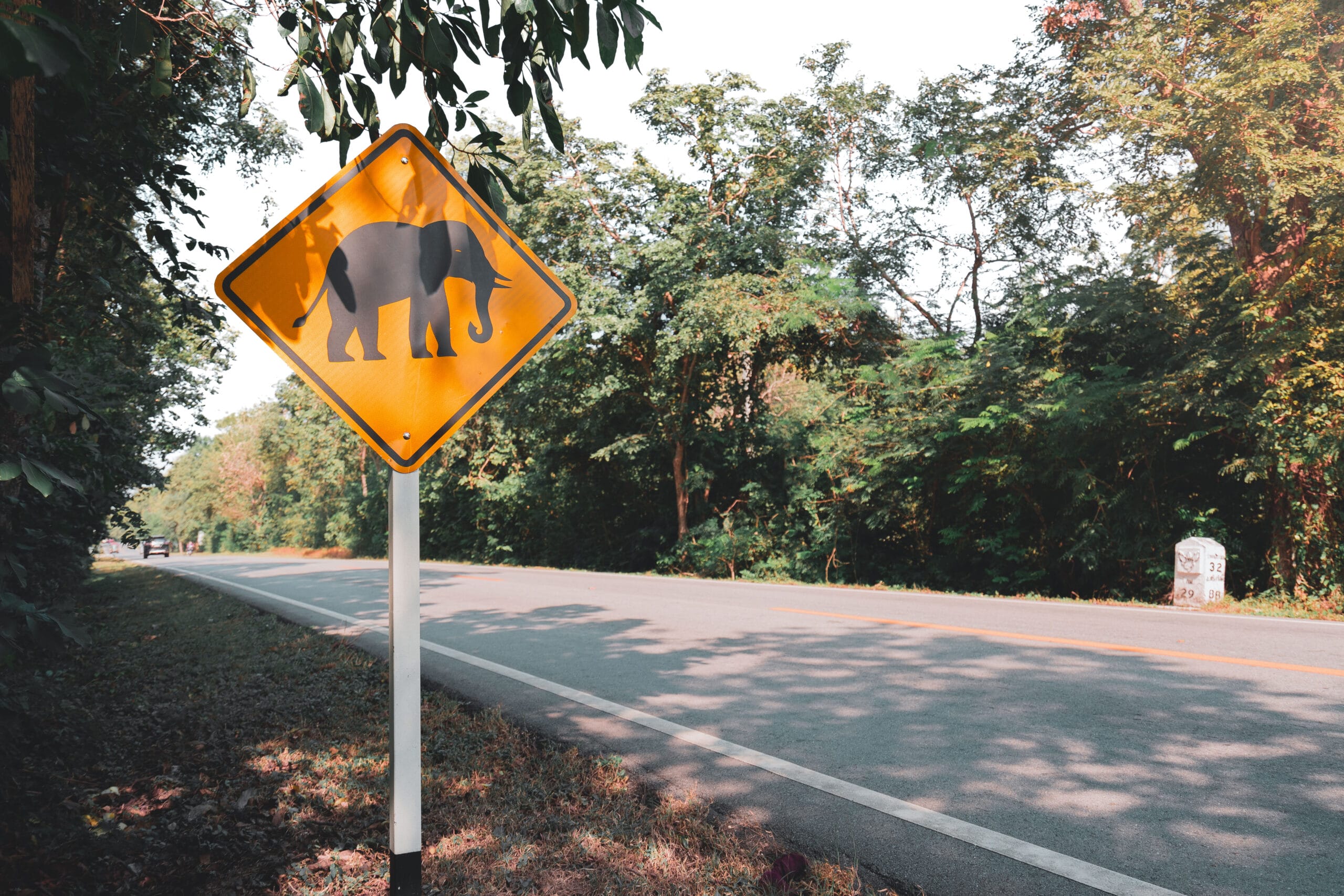 panneau éléphants Kanchanaburi